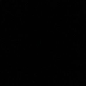 Meet your Posher, Kayleigh